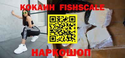 шишки Бийск