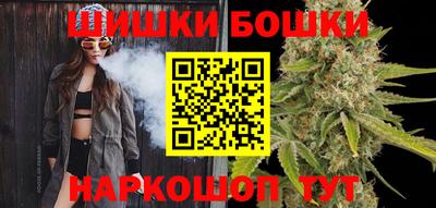 индика Беслан