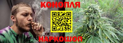 индика Беслан