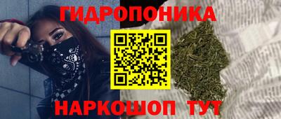 шишки Бийск