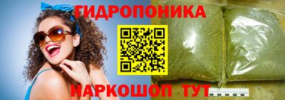 шишки Бийск