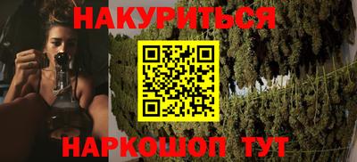 шишки Бийск