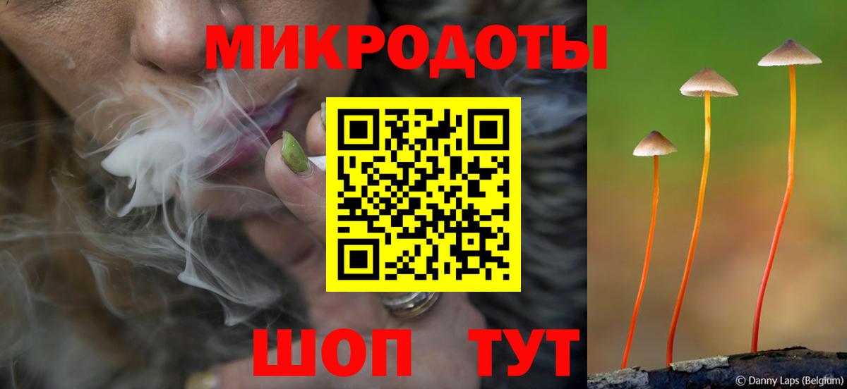 Галлюциногенные грибы MAGIC MUSHROOMS Камышлов