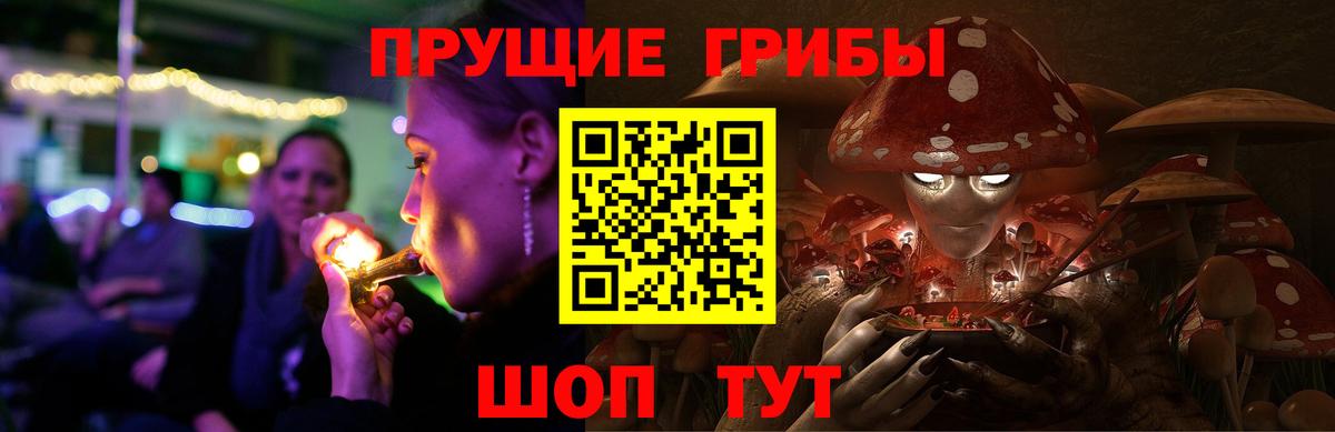 Камышлов  Галлюциногенные грибы прущие грибы  Вход с VPN 